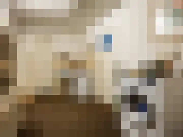 Oudhuizerstraat 20 Klarenbeek thumbnail 18
