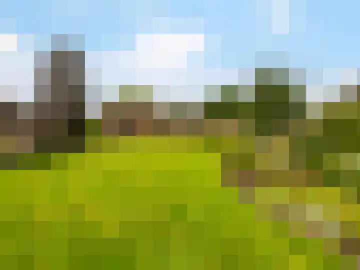 Oudhuizerstraat 20 Klarenbeek thumbnail 31