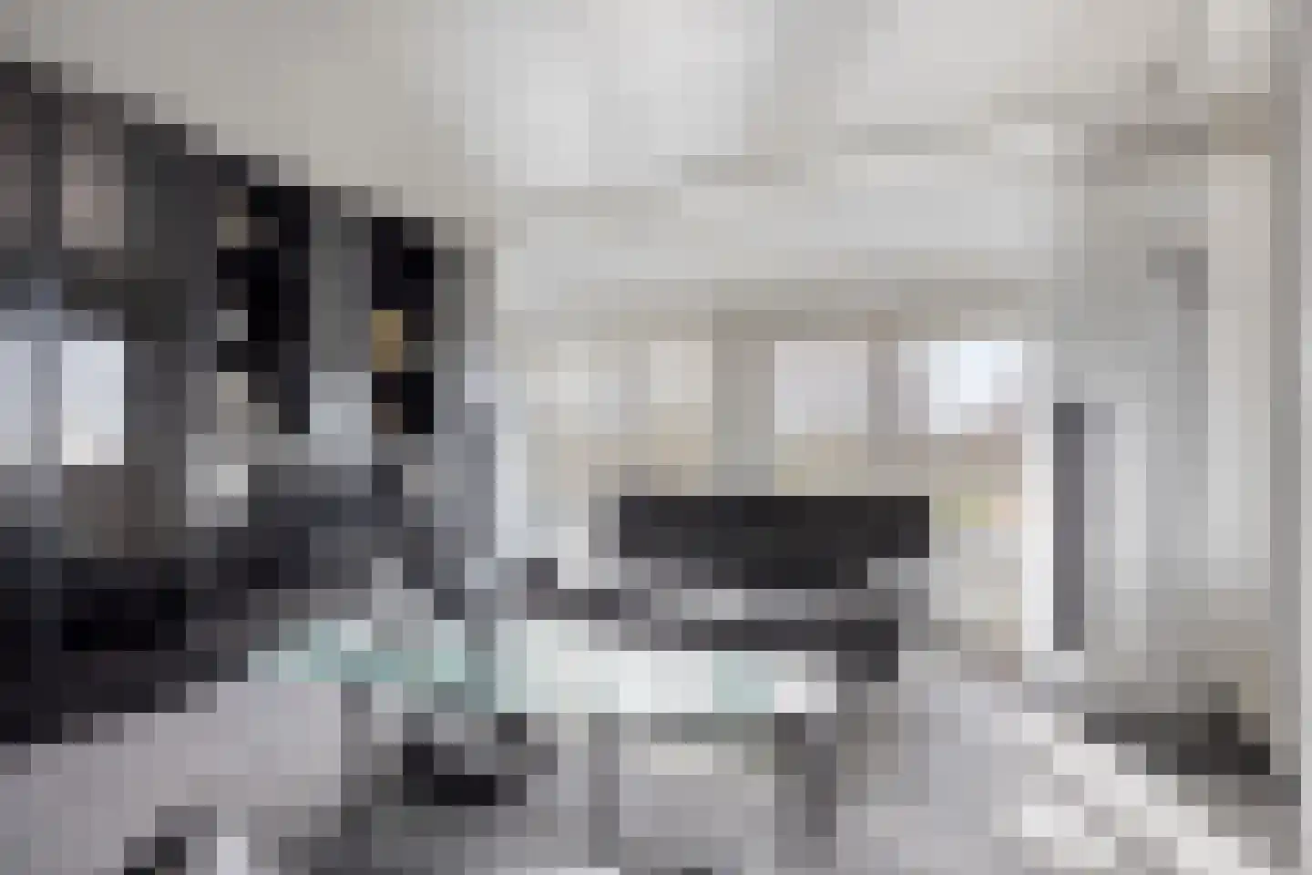 Oudiestaete 110 Alkmaar thumbnail 14