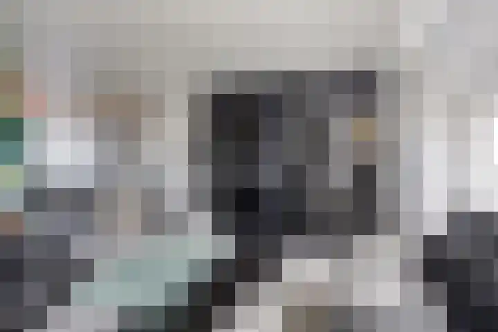 Oudiestaete 110 Alkmaar thumbnail 15