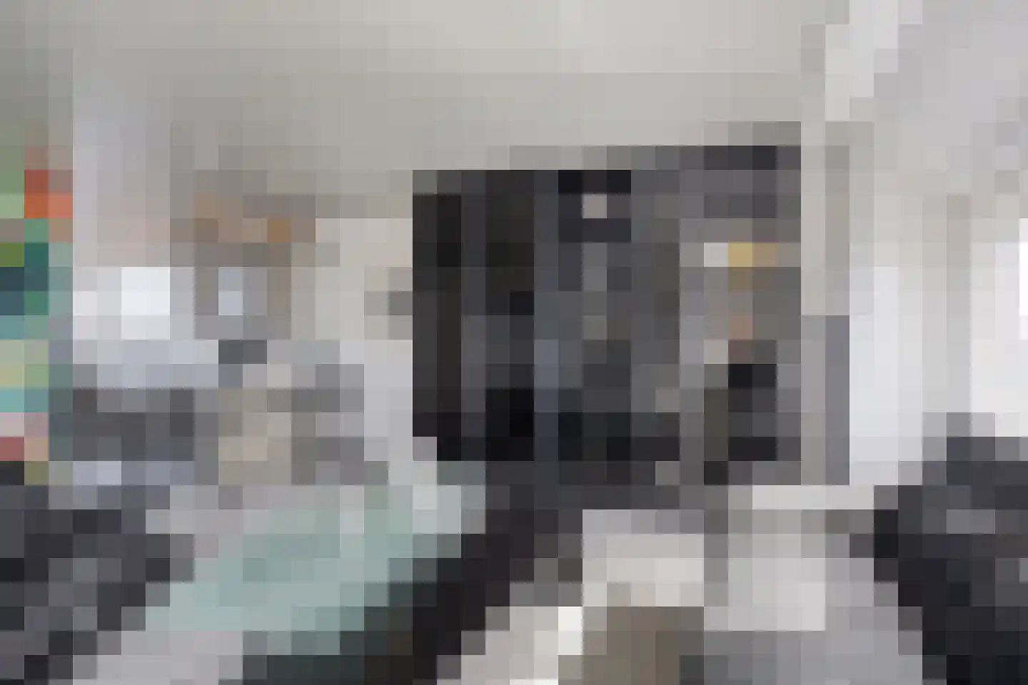 Oudiestaete 110 Alkmaar thumbnail 15