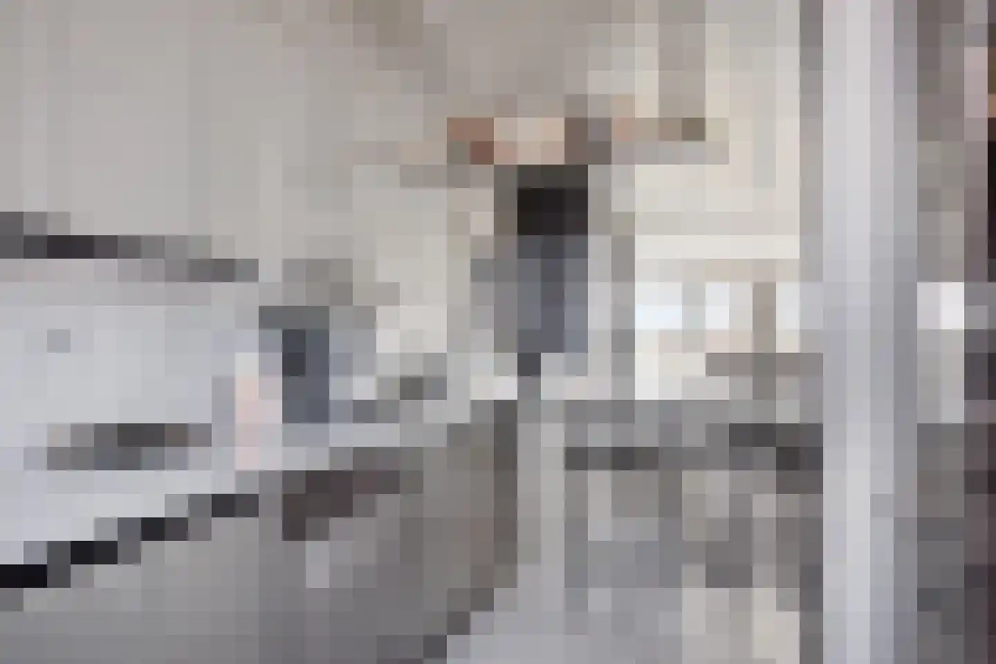 Oudiestaete 110 Alkmaar thumbnail 25