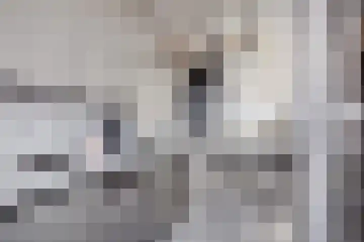 Oudiestaete 110 Alkmaar thumbnail 25
