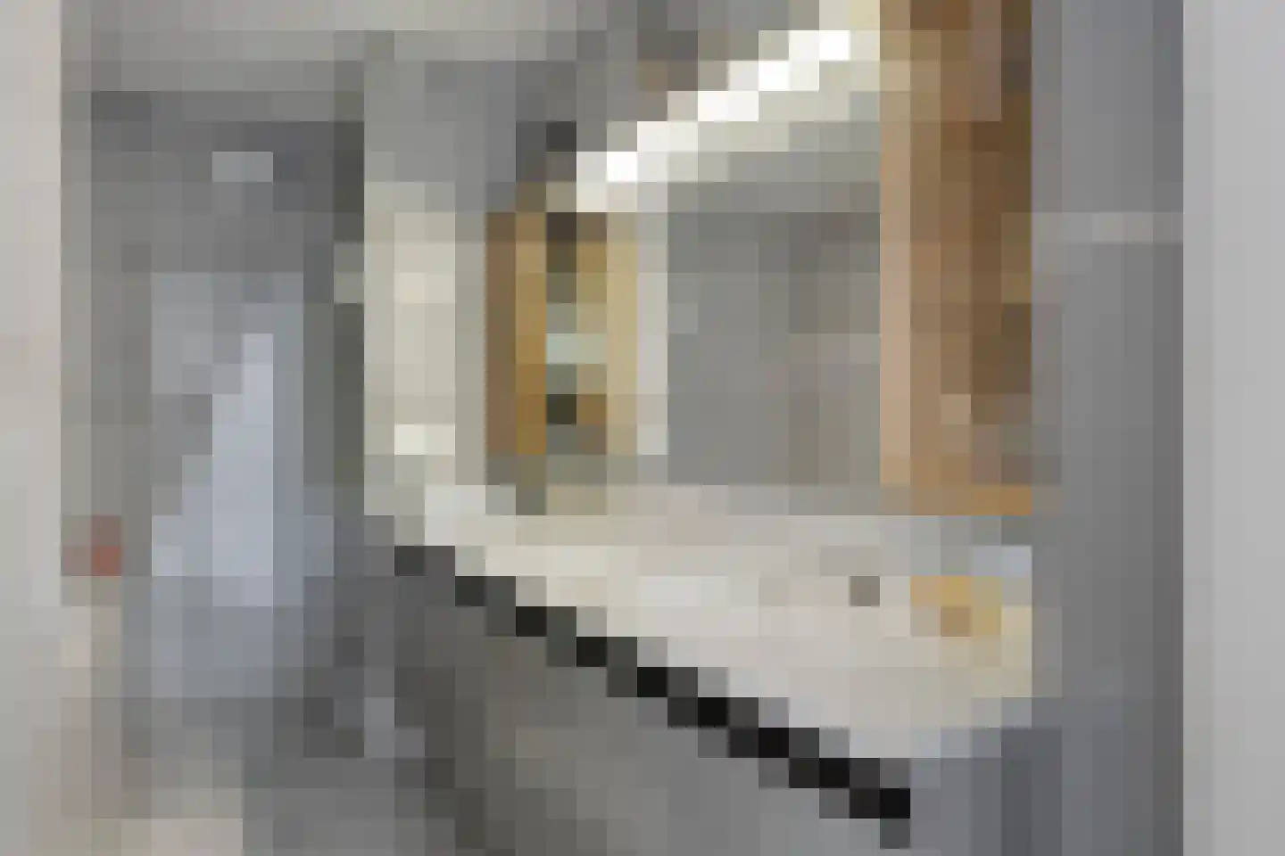 Oudiestaete 110 Alkmaar thumbnail 29