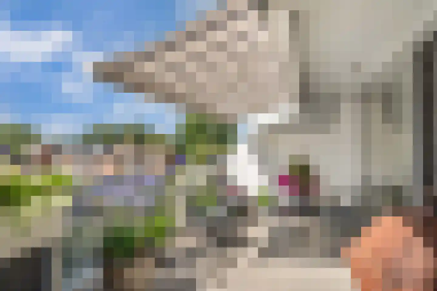 Oudiestaete 66 Alkmaar thumbnail 29