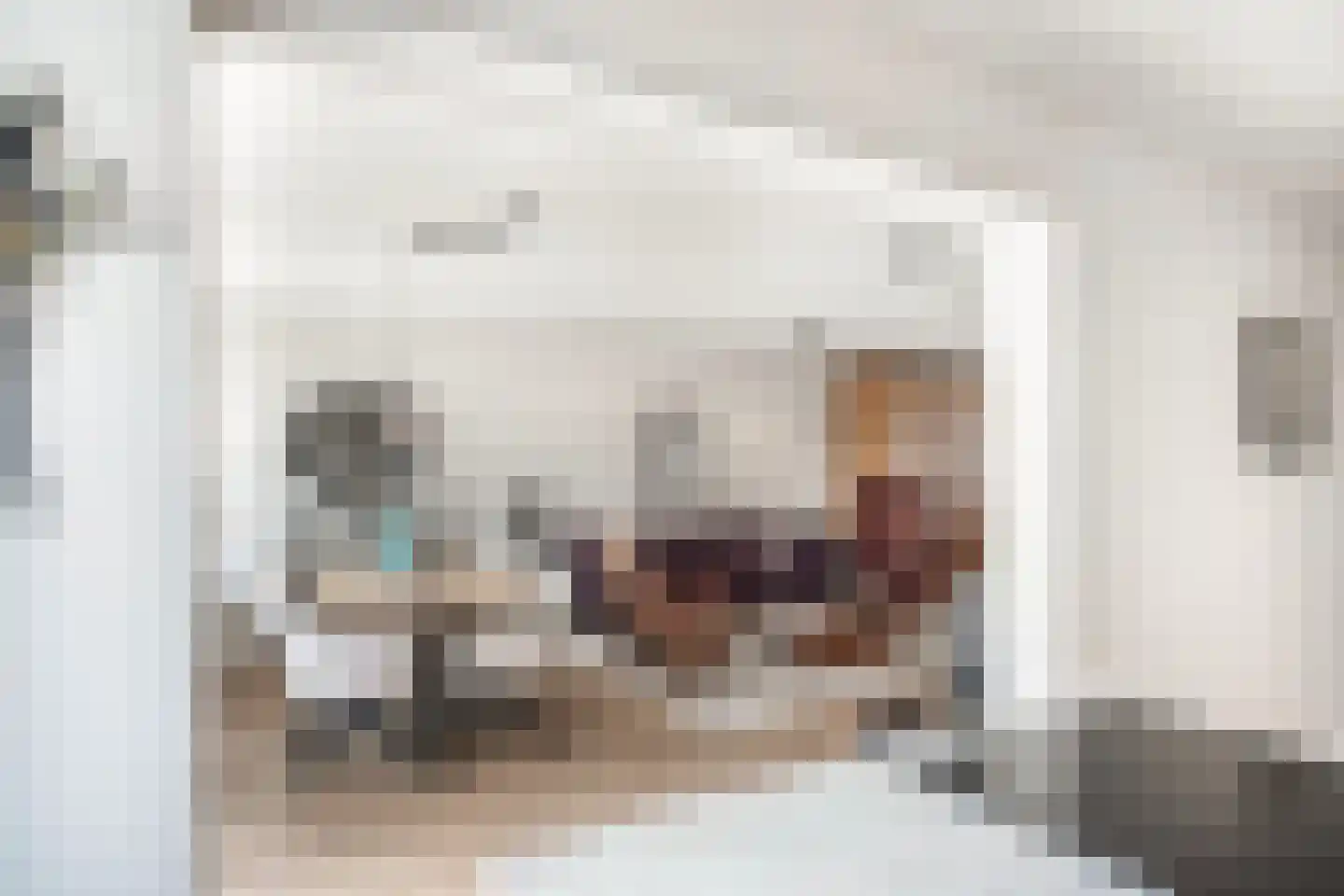 Oudiestaete 66 Alkmaar thumbnail 32