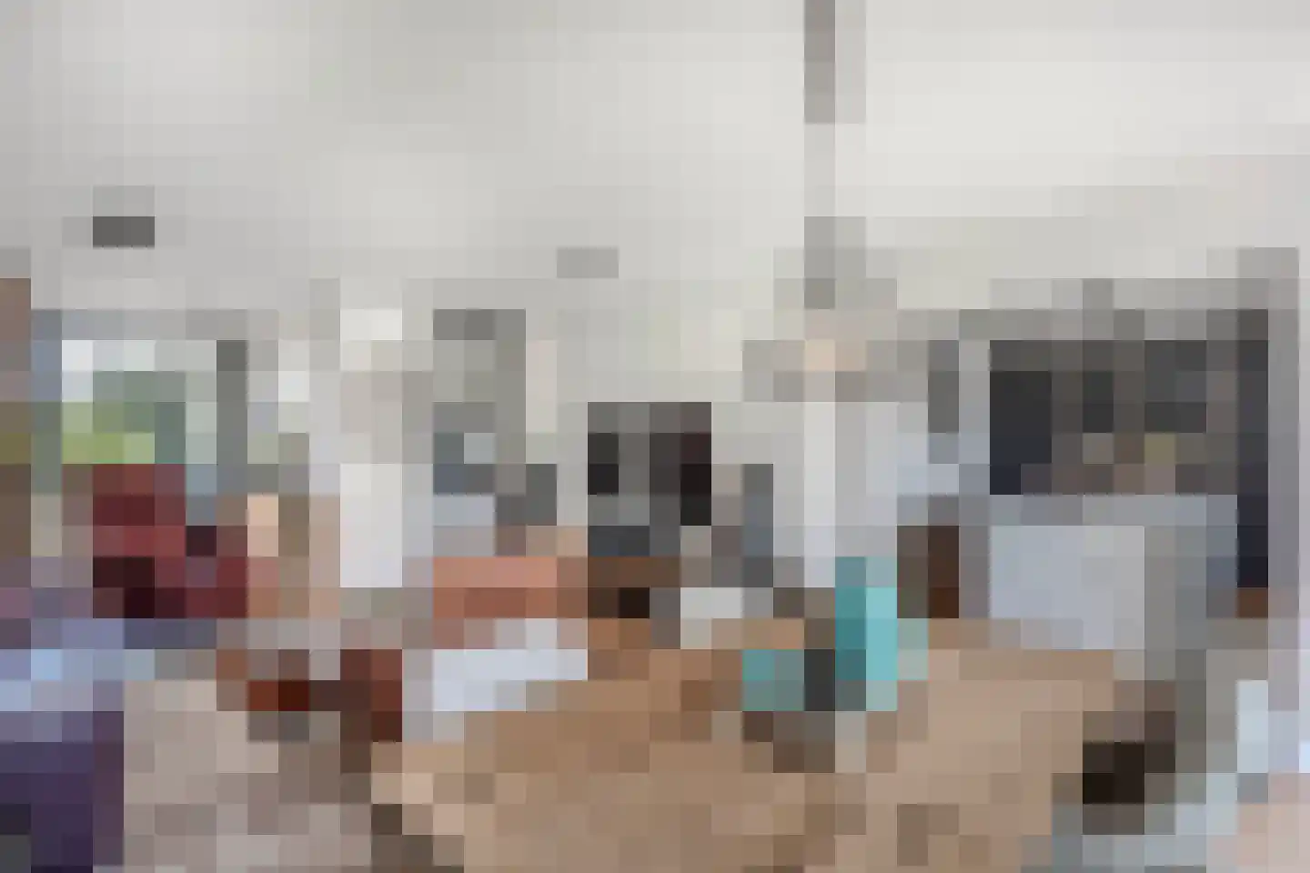 Oudiestaete 66 Alkmaar thumbnail 8