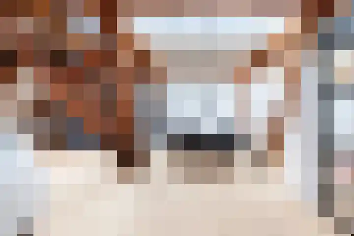 Oudkerkhof 29 D Utrecht thumbnail 10