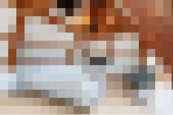 Oudkerkhof 29 D Utrecht thumbnail 11