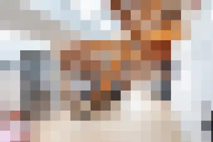 Oudkerkhof 29 D Utrecht thumbnail 4