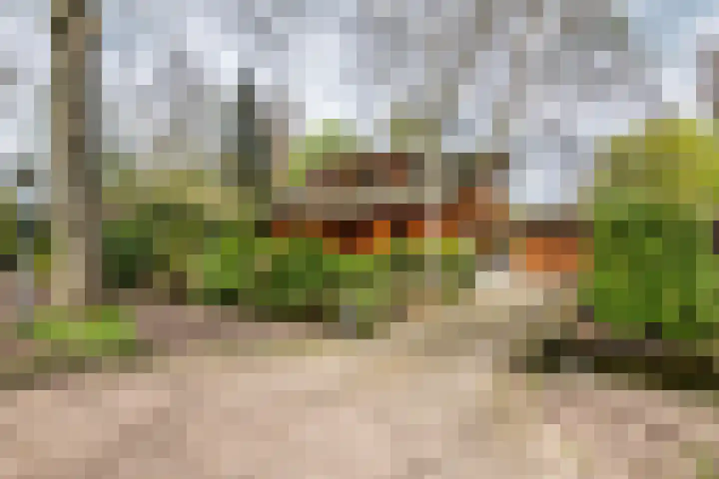 Oudkerkse Bos 49 Giessenburg thumbnail 10