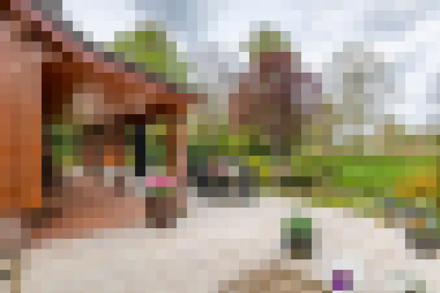 Oudkerkse Bos 49 Giessenburg thumbnail 22