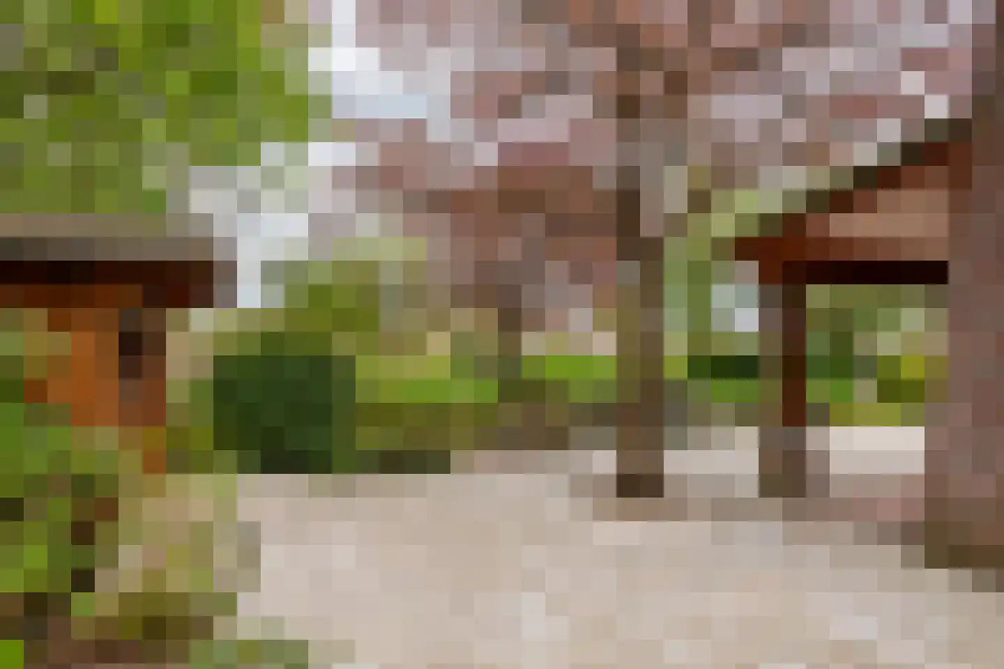 Oudkerkse Bos 49 Giessenburg thumbnail 24