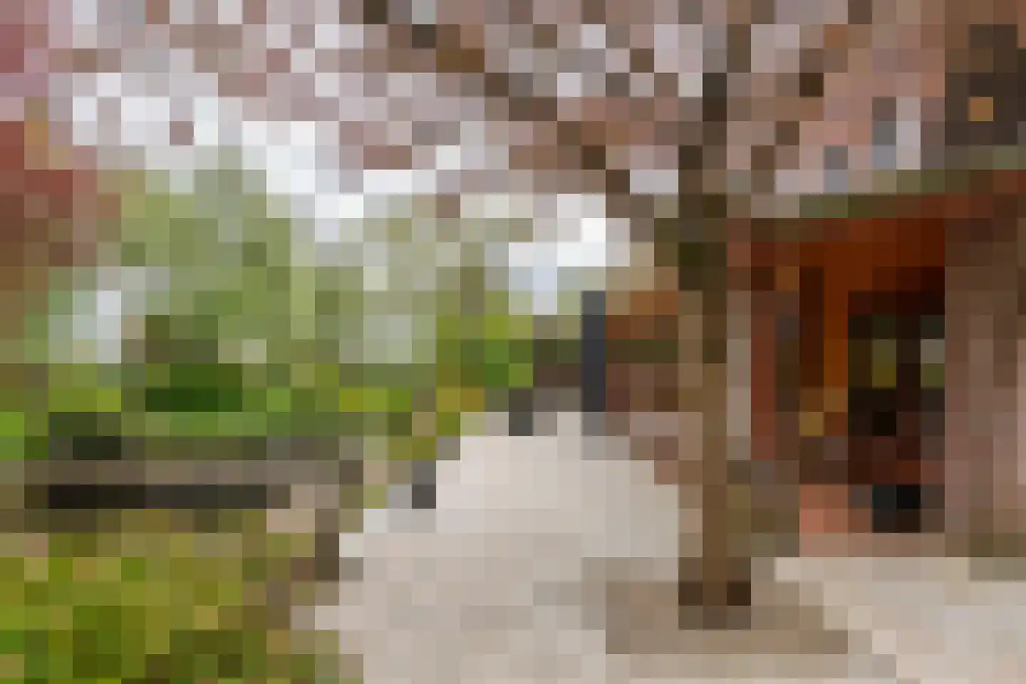 Oudkerkse Bos 49 Giessenburg thumbnail 25