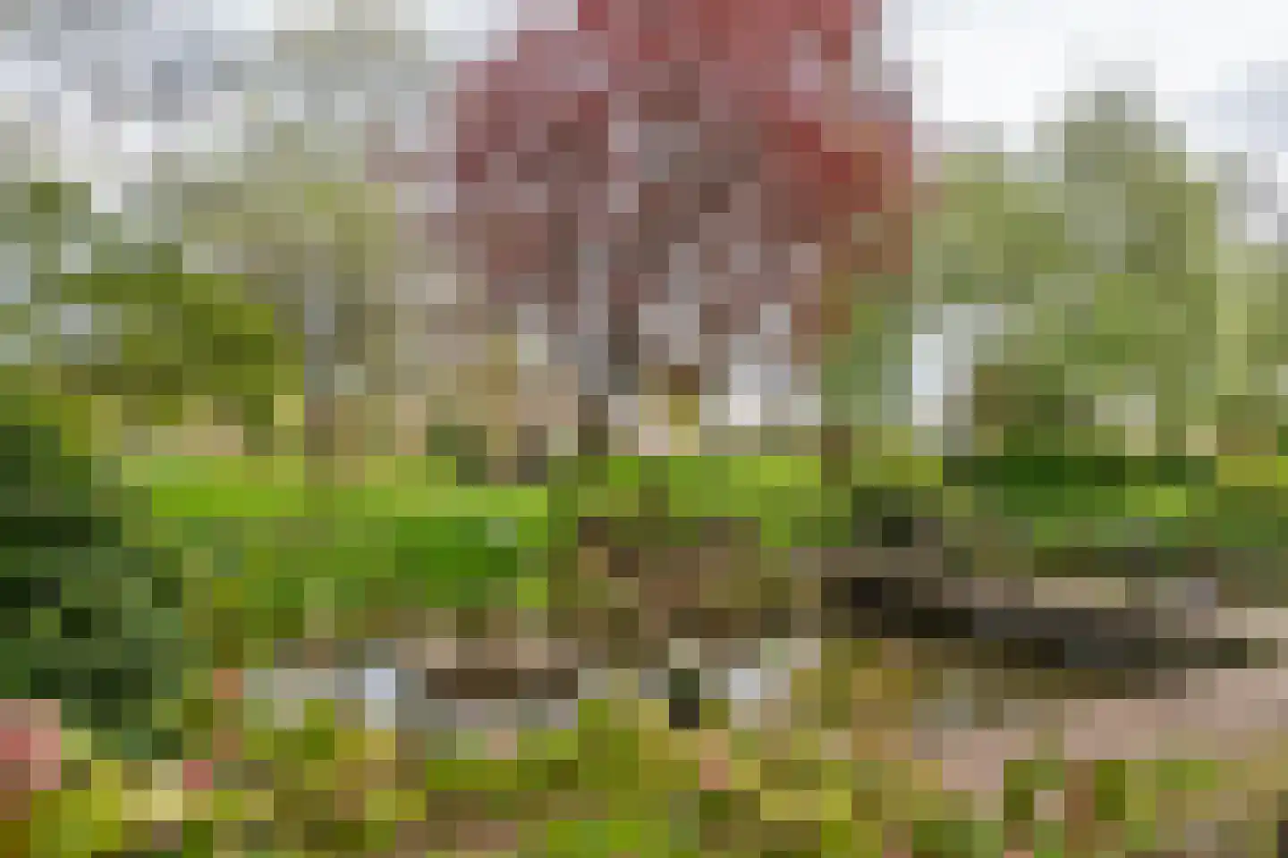 Oudkerkse Bos 49 Giessenburg thumbnail 26