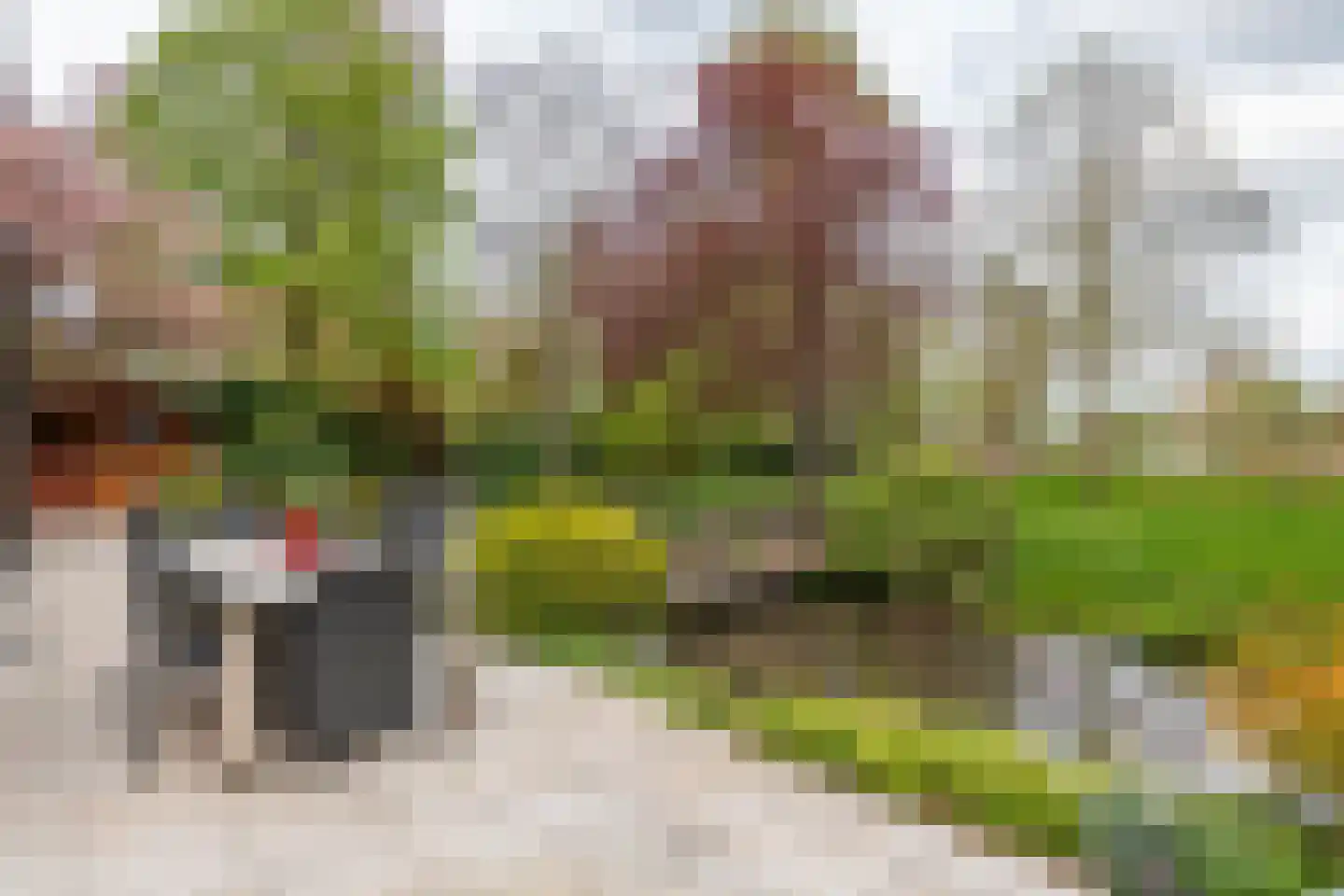 Oudkerkse Bos 49 Giessenburg thumbnail 27