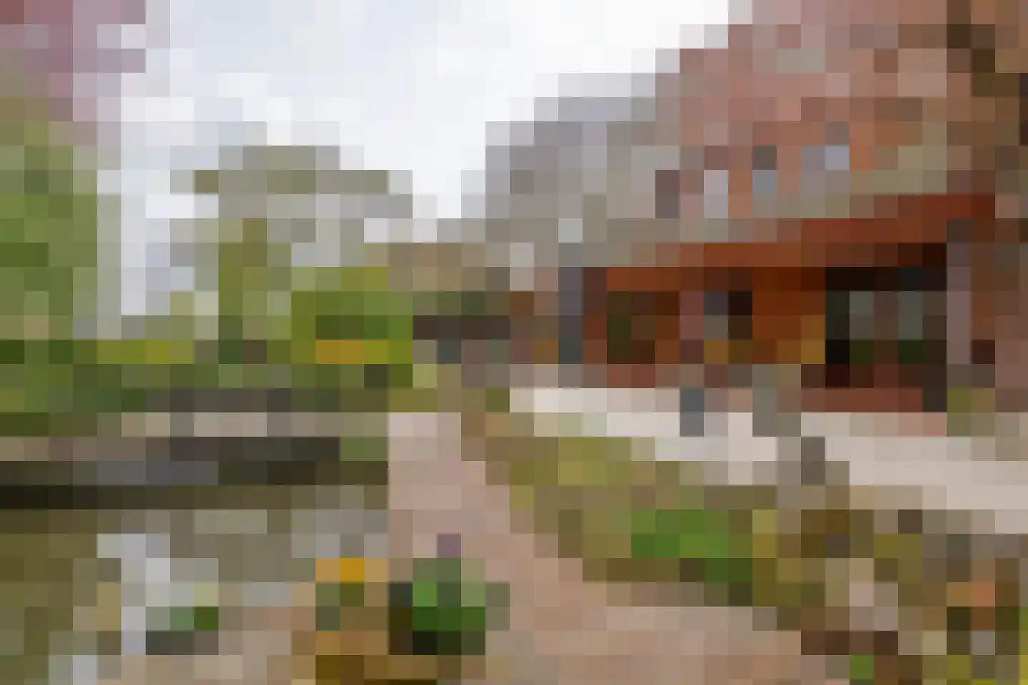 Oudkerkse Bos 49 Giessenburg thumbnail 29