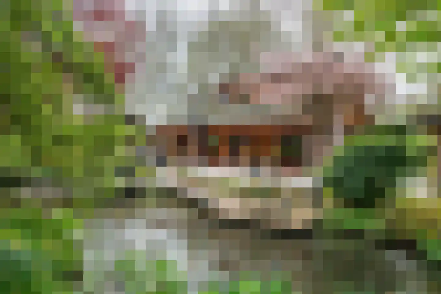 Oudkerkse Bos 49 Giessenburg thumbnail 31