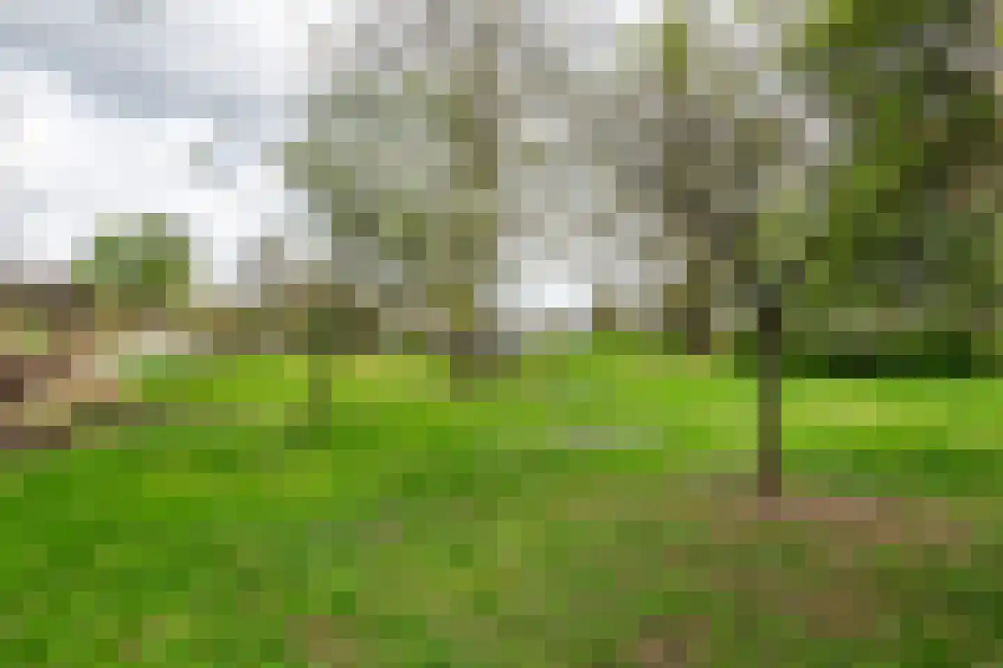 Oudkerkse Bos 49 Giessenburg thumbnail 32