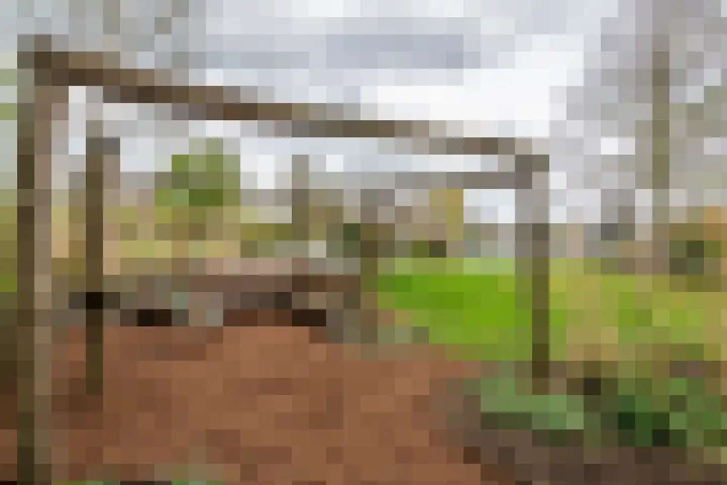 Oudkerkse Bos 49 Giessenburg thumbnail 33