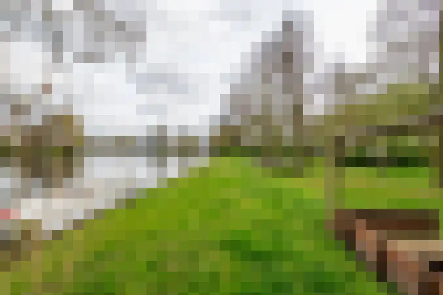 Oudkerkse Bos 49 Giessenburg thumbnail 35