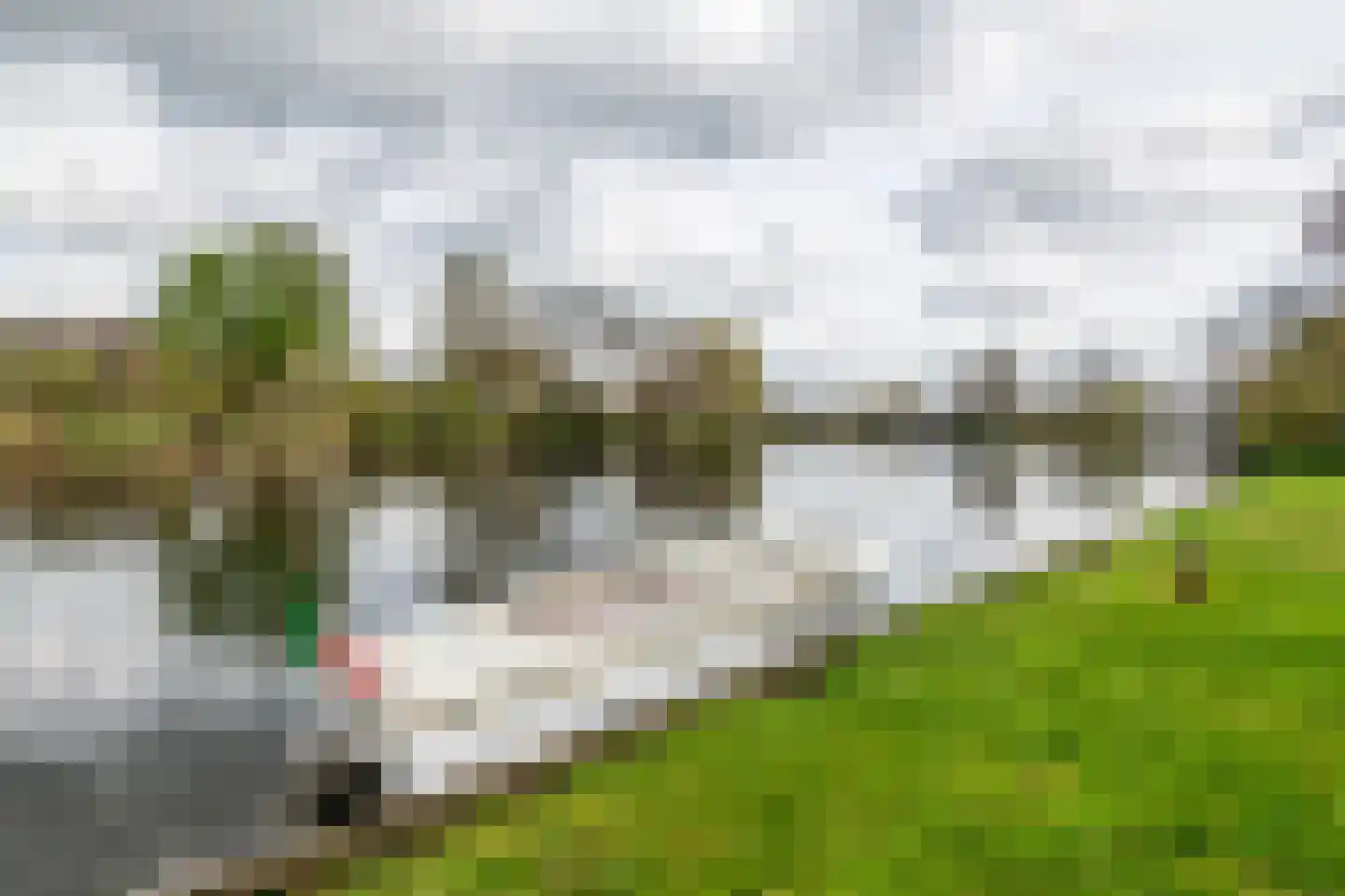 Oudkerkse Bos 49 Giessenburg thumbnail 36