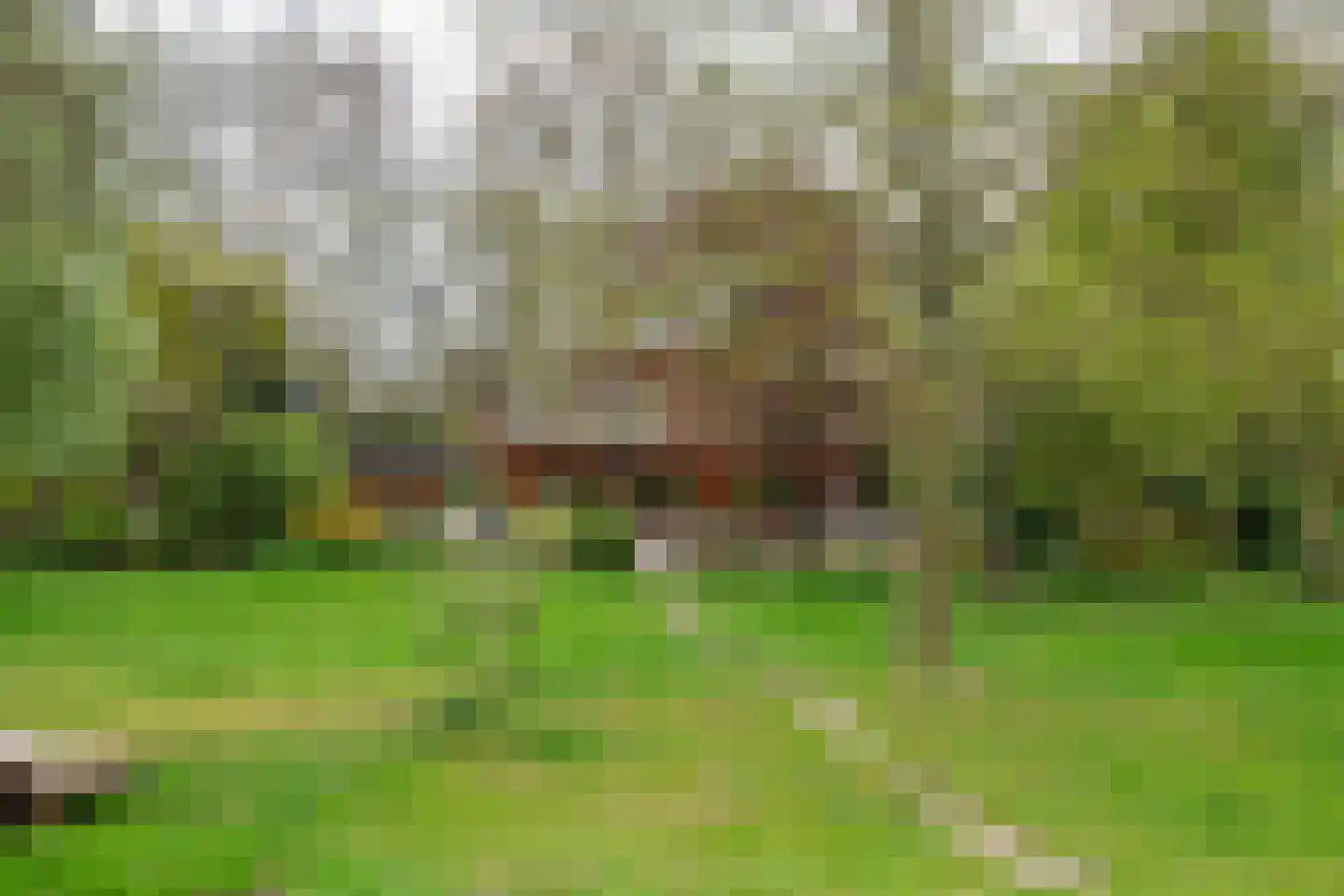 Oudkerkse Bos 49 Giessenburg thumbnail 37