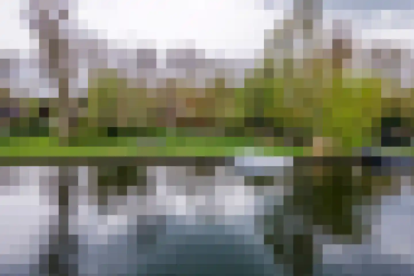 Oudkerkse Bos 49 Giessenburg thumbnail 39