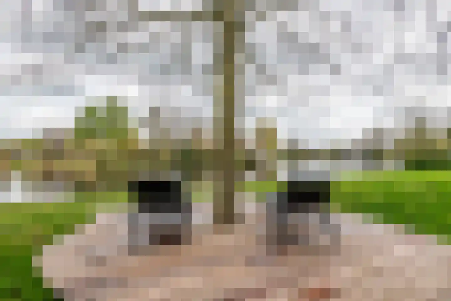 Oudkerkse Bos 49 Giessenburg thumbnail 40