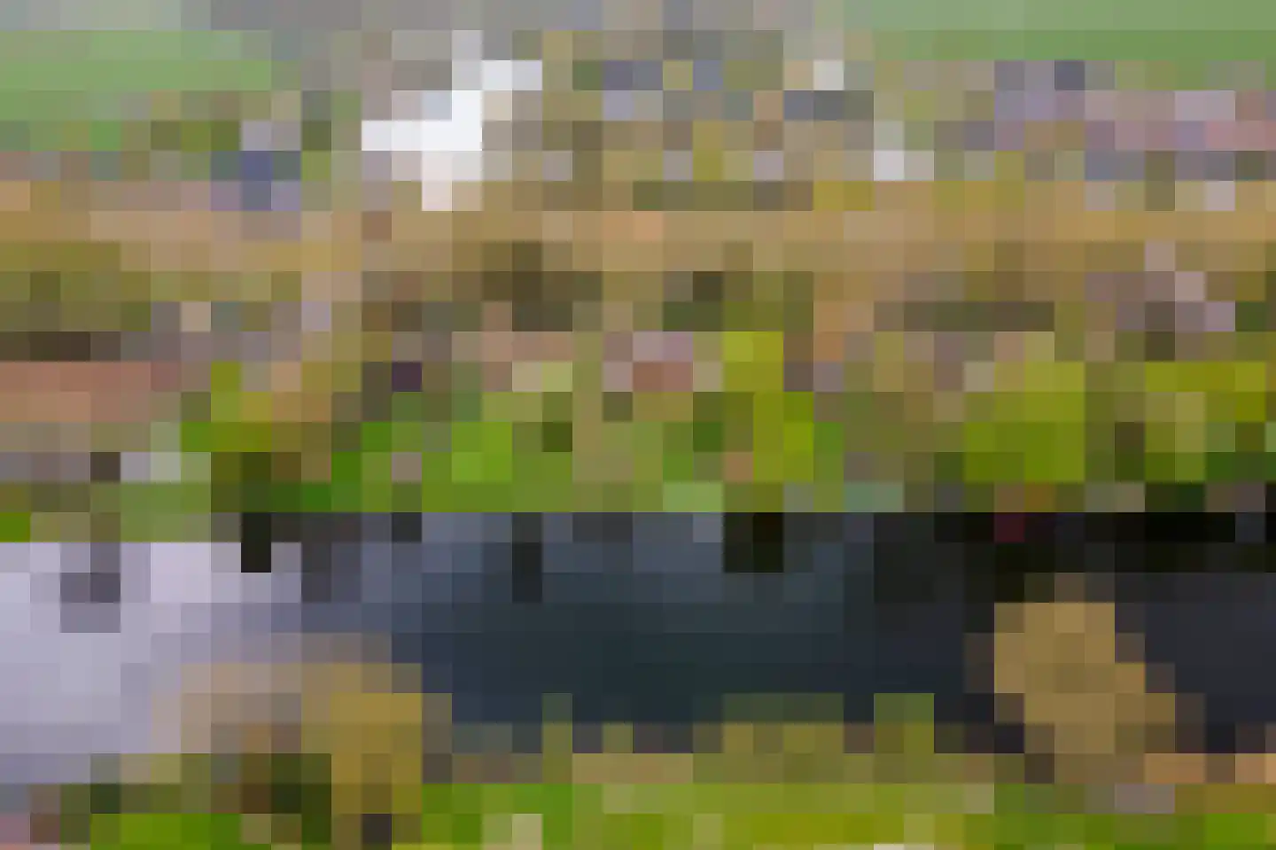 Oudkerkse Bos 49 Giessenburg thumbnail 5