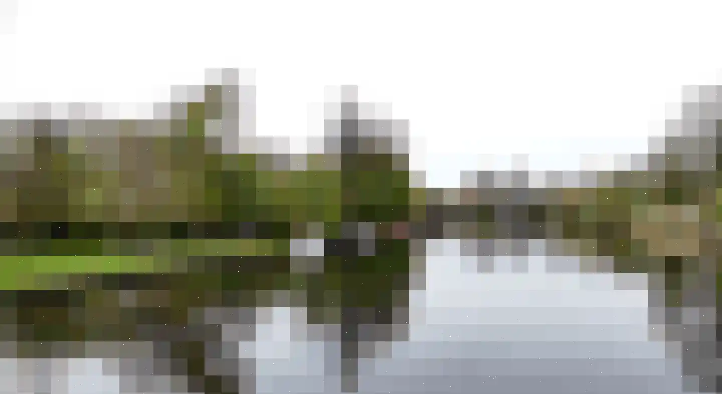 Oudkerkse Bos 49 Giessenburg thumbnail 53