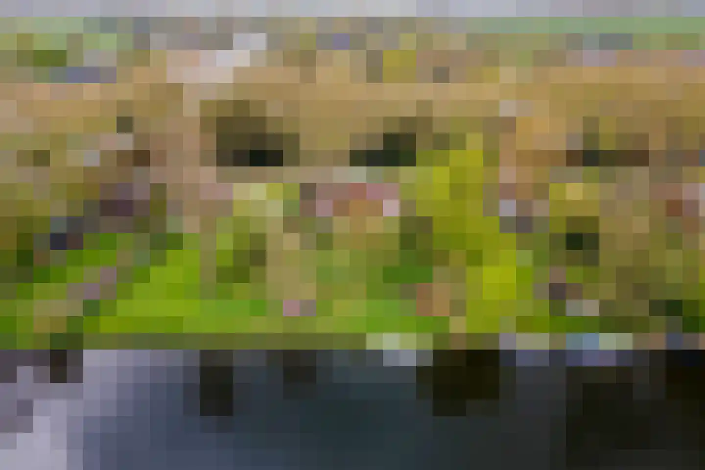 Oudkerkse Bos 49 Giessenburg thumbnail 6