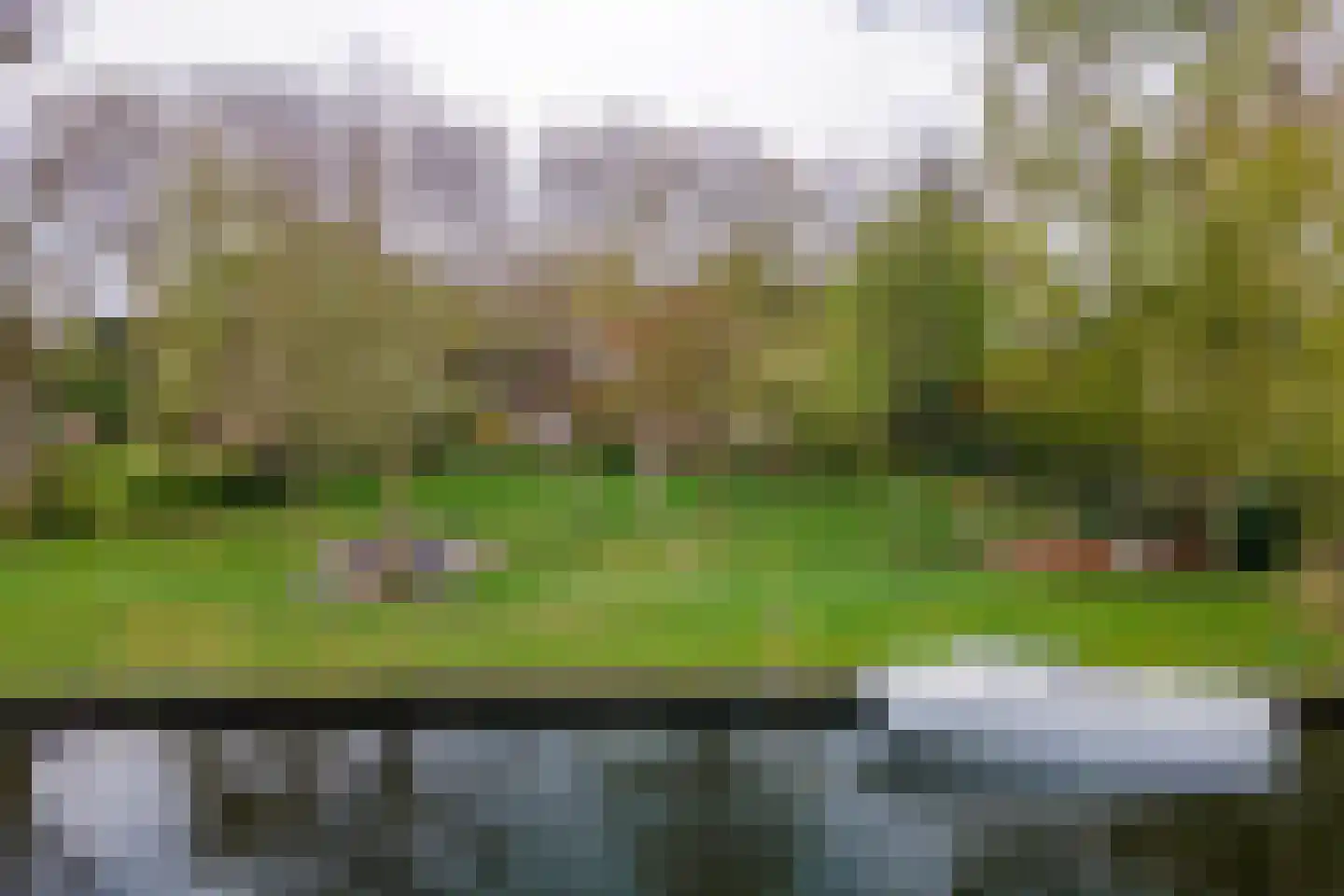 Oudkerkse Bos 49 Giessenburg thumbnail 7