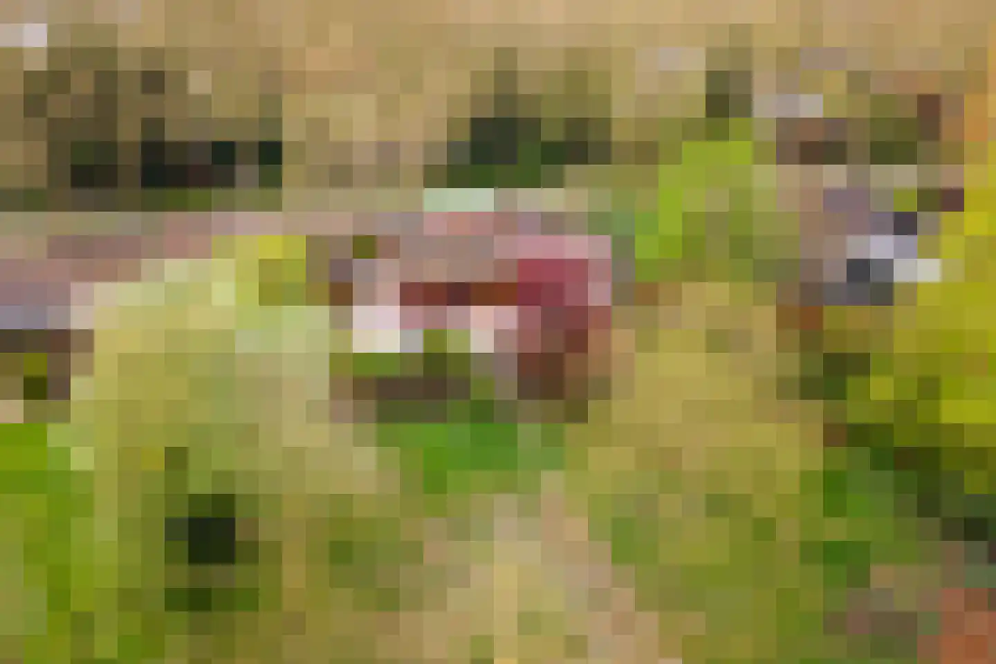 Oudkerkse Bos 49 Giessenburg thumbnail 8