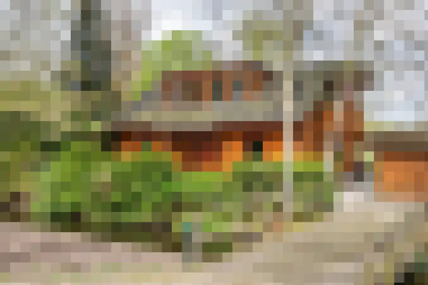 Oudkerkse Bos 49 Giessenburg thumbnail 9