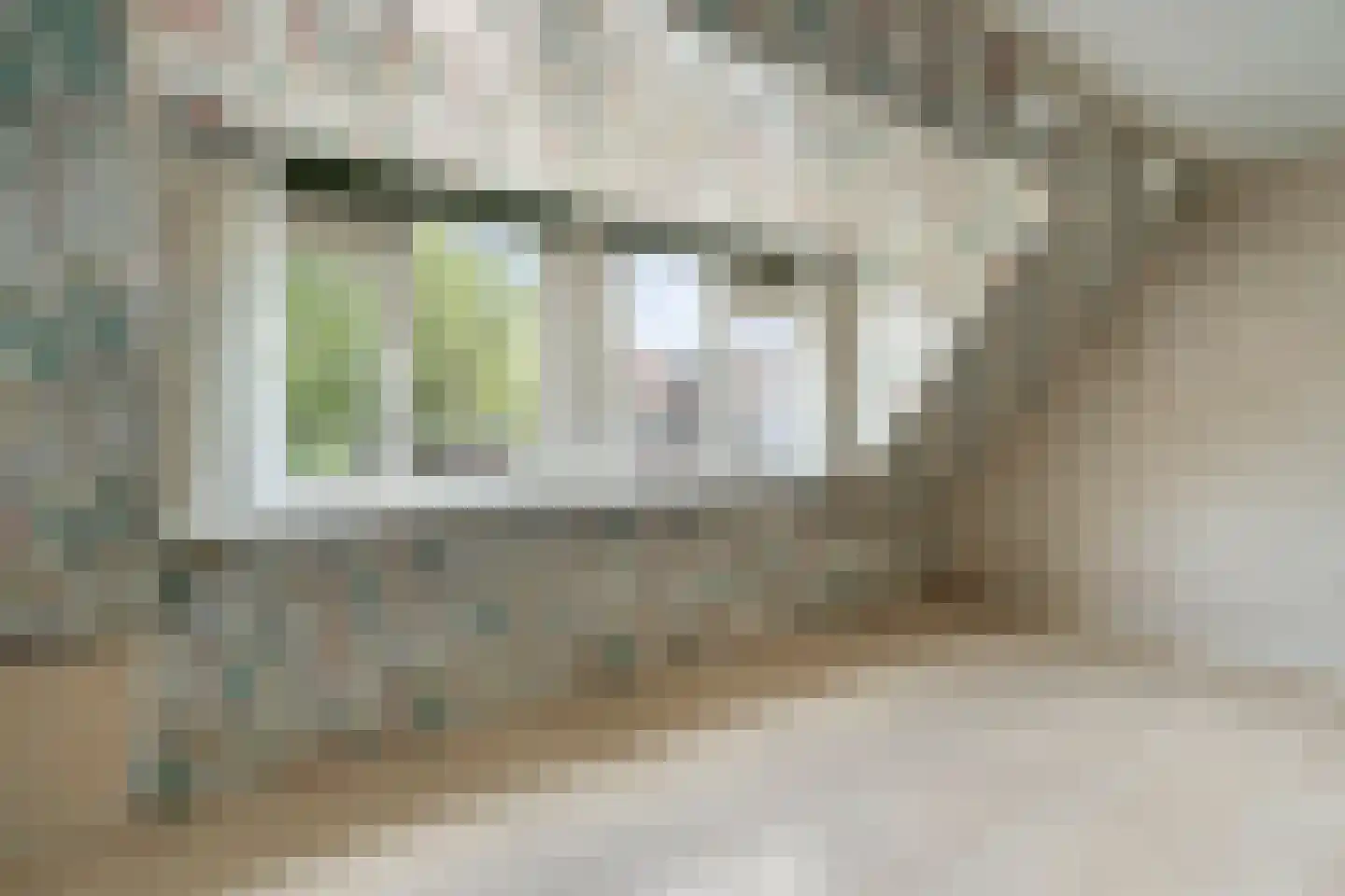 Oudlaan 14 Naaldwijk thumbnail 15