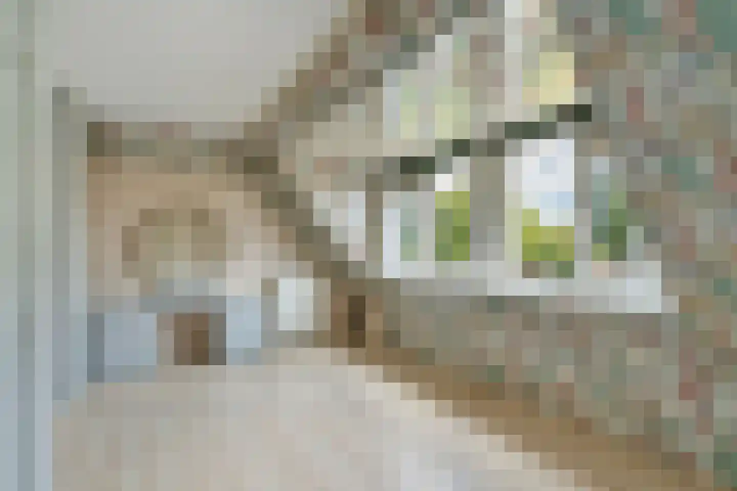 Oudlaan 14 Naaldwijk thumbnail 16