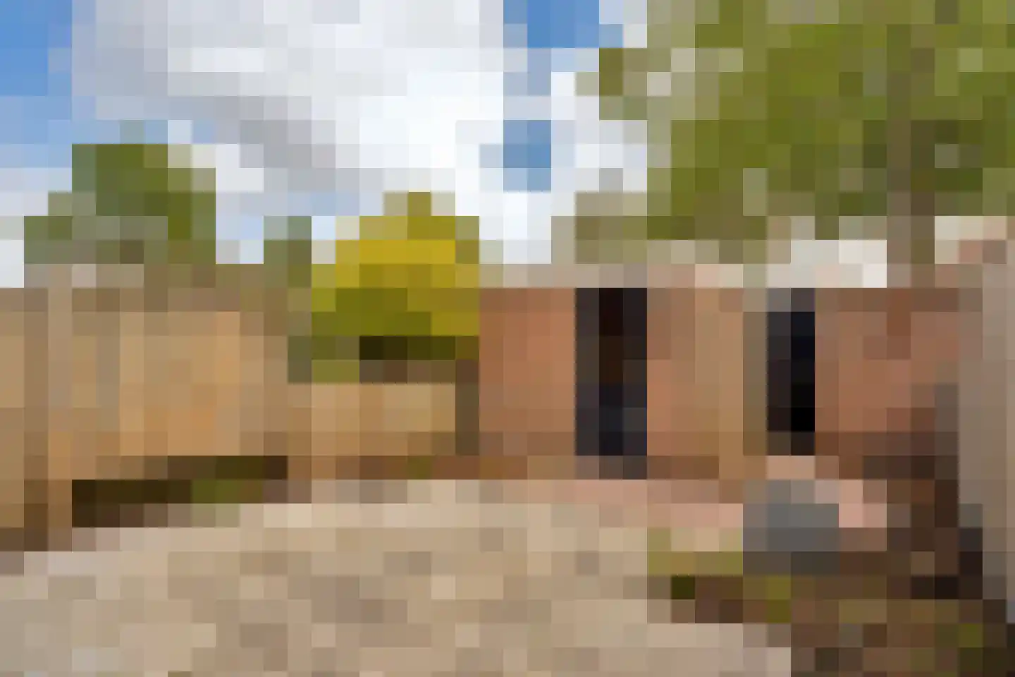 Oudlaan 14 Naaldwijk thumbnail 29
