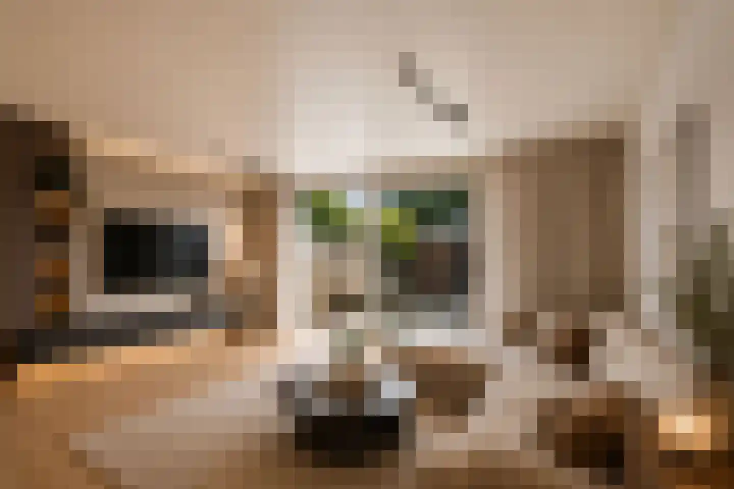 Oudlaan 14 Naaldwijk foto 3