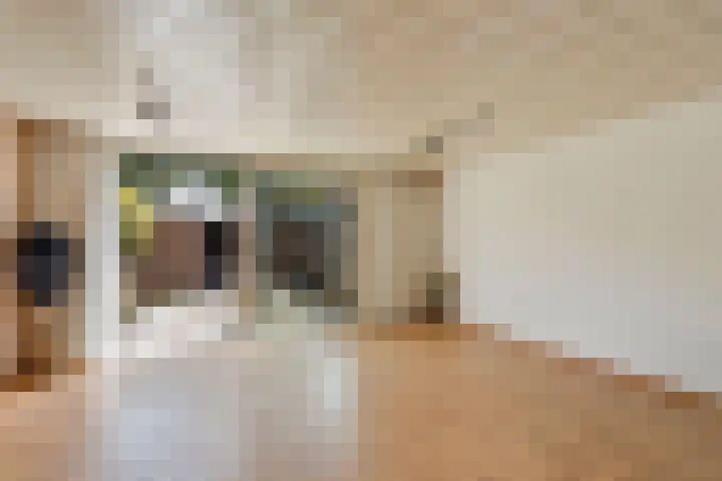 Oudlaan 14 Naaldwijk thumbnail 5