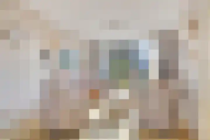 Oudlaan 15 Pijnacker thumbnail 11