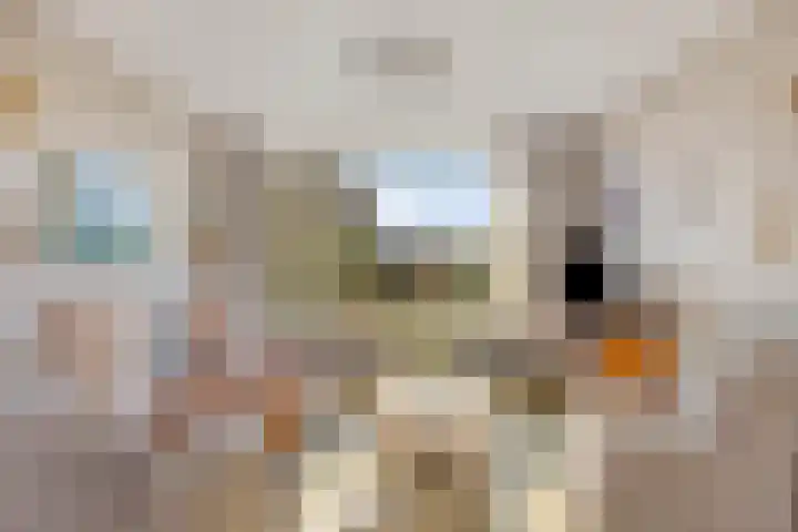 Oudlaan 15 Pijnacker thumbnail 12