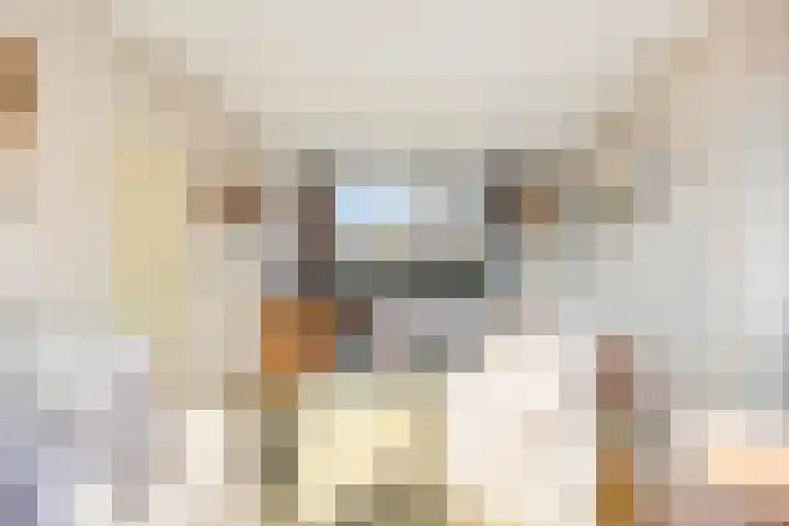 Oudlaan 15 Pijnacker thumbnail 14