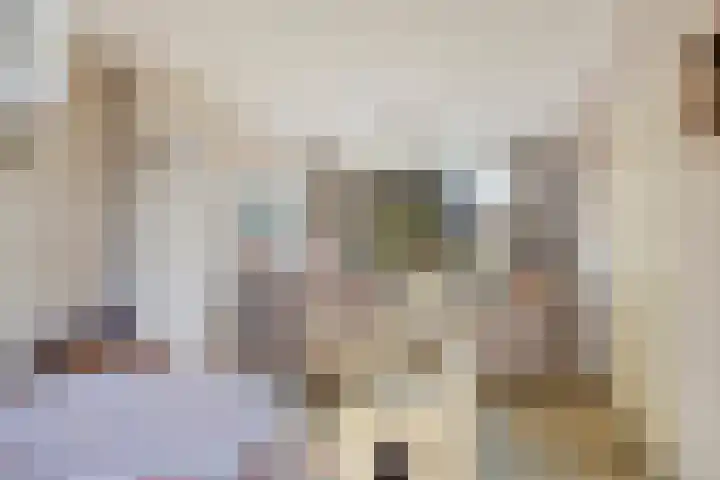 Oudlaan 15 Pijnacker thumbnail 15