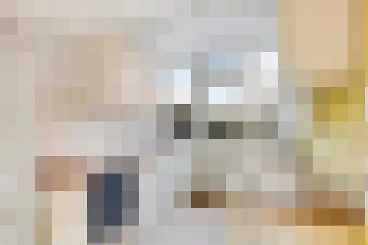 Oudlaan 15 Pijnacker thumbnail 16