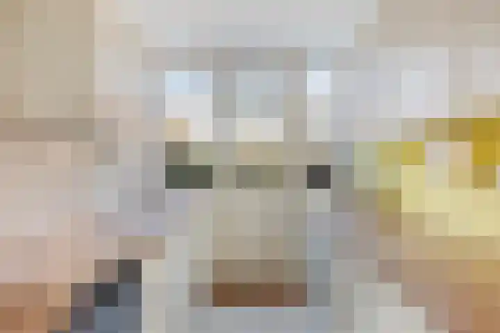 Oudlaan 15 Pijnacker thumbnail 17