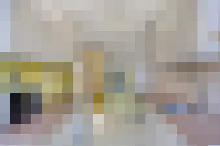 Oudlaan 15 Pijnacker thumbnail 18