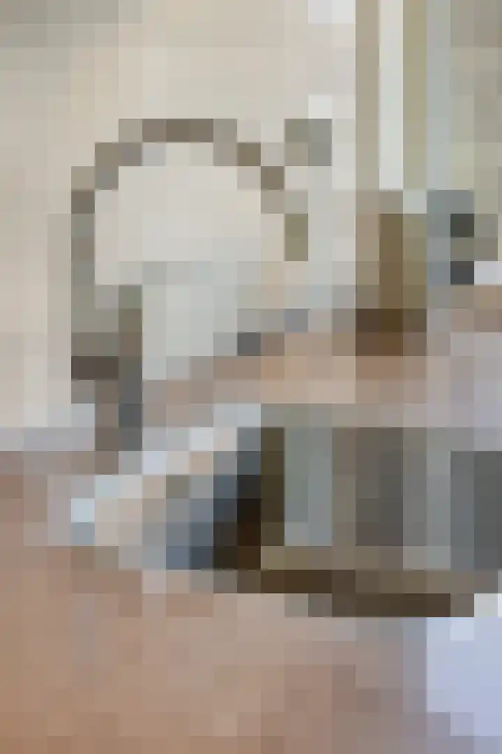 Oudlaan 15 Pijnacker thumbnail 21