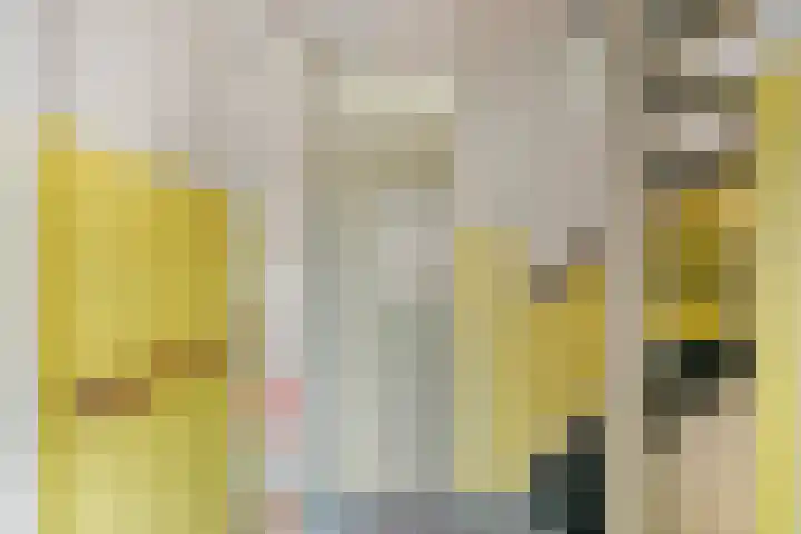 Oudlaan 15 Pijnacker thumbnail 22