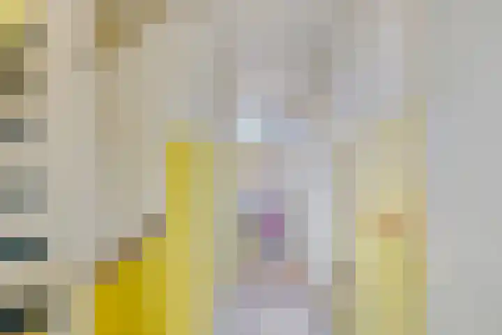 Oudlaan 15 Pijnacker thumbnail 23